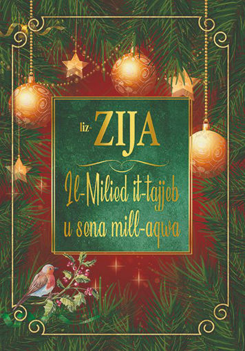 Picture of LIZ-ZIJA IL-MILIED IT-TAJJEB KARTOLINA